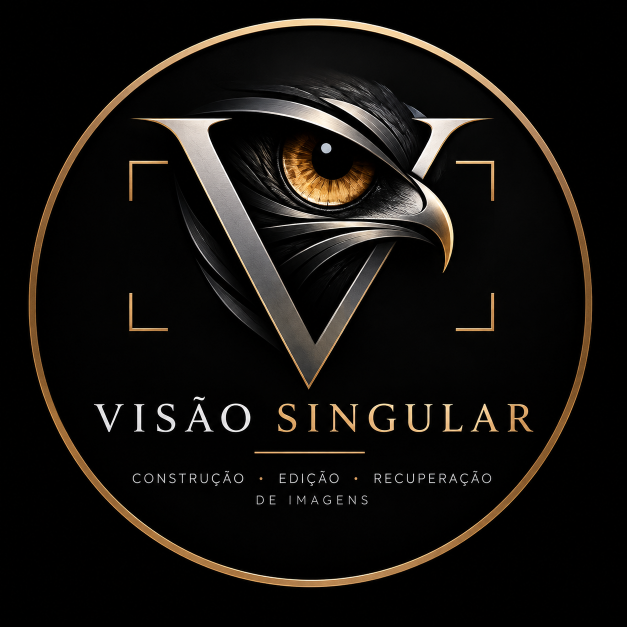 Logótipo Visão Singular